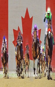 Sport Betting Canada